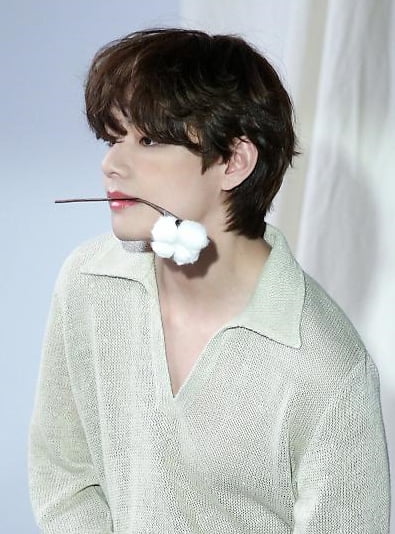 태형숲 조성한 BTS 뷔 캐나다 팬들, 야생동물 재활 도와