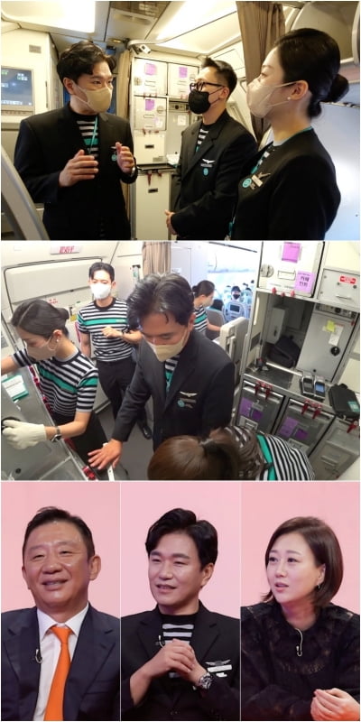 "승무원 음주 적발시 과징금 4억 8000만 원"…'당나귀 귀' 보스들 깜짝