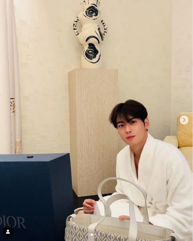 차은우, 샤워 가운만 입어도 빛나네....파리가 인정한 비주얼[TEN★]