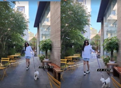 '태국재벌♥' 신주아, 반려견과 화려한 산책...극세사 각선미[TEN★]