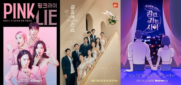 '핑크라이', '결혼에 진심', '잠만자는사이' 포스터./사진=각 방송사 제공