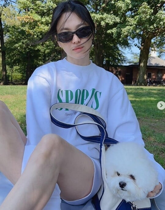 (사진=송혜교 SNS)