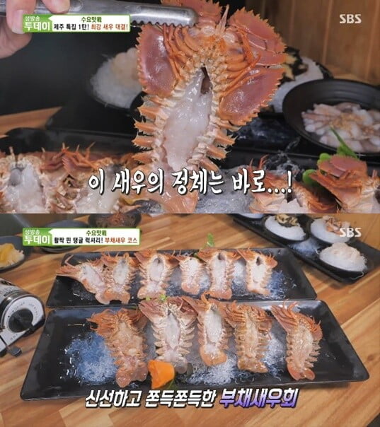 '생방송 투데이'(사진=방송 화면 캡처)