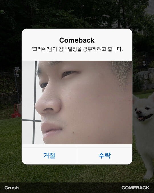 (사진=피네이션(P NATION) 제공)