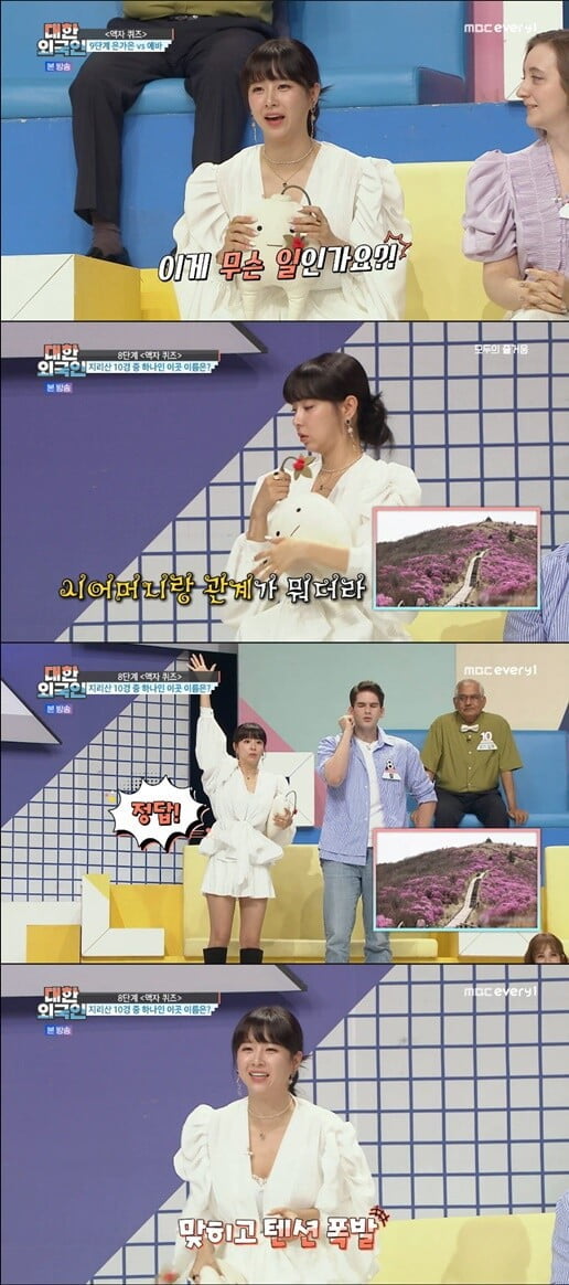 '대한외국인'(사진=방송 화면 캡처)
