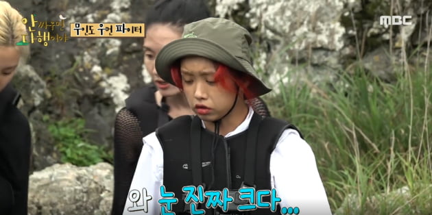 [종합] 임신한 허니제이 못간 '섬생활'→박명수 "♥피부과 의사, 조건보고 결혼"('안다행')