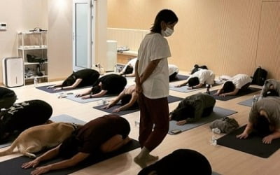 이효리가 요가 선생님? 정재형, 안테나 특강 인증샷…'시선 강탈'[TEN★]