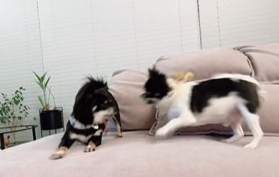 사진=김지민 인스타그램