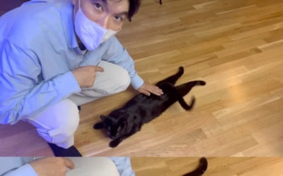 [종합] 박수홍, 담담히 "아빠"…반려묘 다홍이와 행복·씁쓸 일상 ('검은고양이 다홍')
