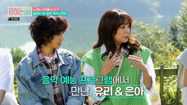 사진=MBN 방송화면 캡처