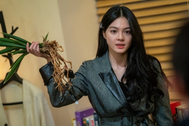 /사진제공=셀트리온엔터테인먼트, SLL