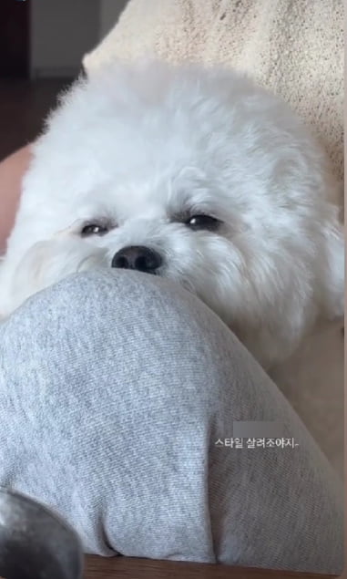 '남자친구 인연' 송혜교, 전소니 곰돌이 스타일 살려줘야지...진한 우정