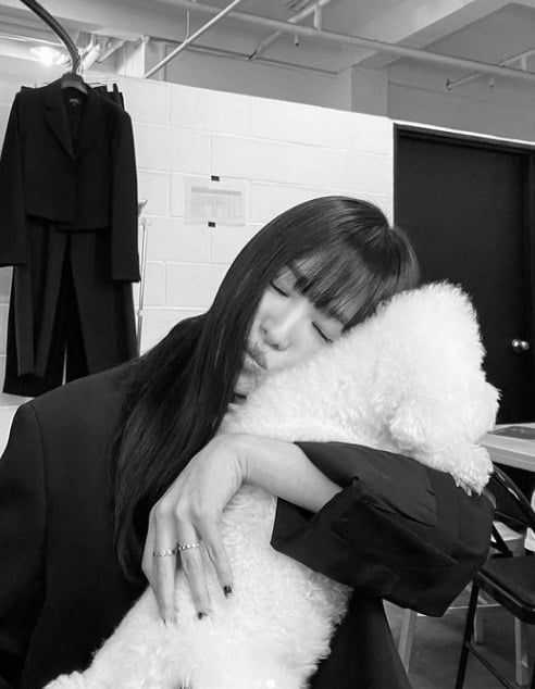 사진=송혜교 인스타그램