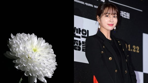 이민정, '이태원 참사' 깊은 애도 "다시는 일어나지 말아야 할…"