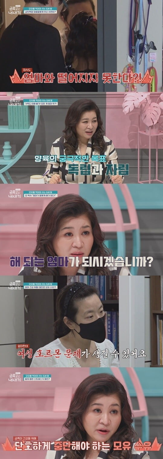 (사진=채널A)