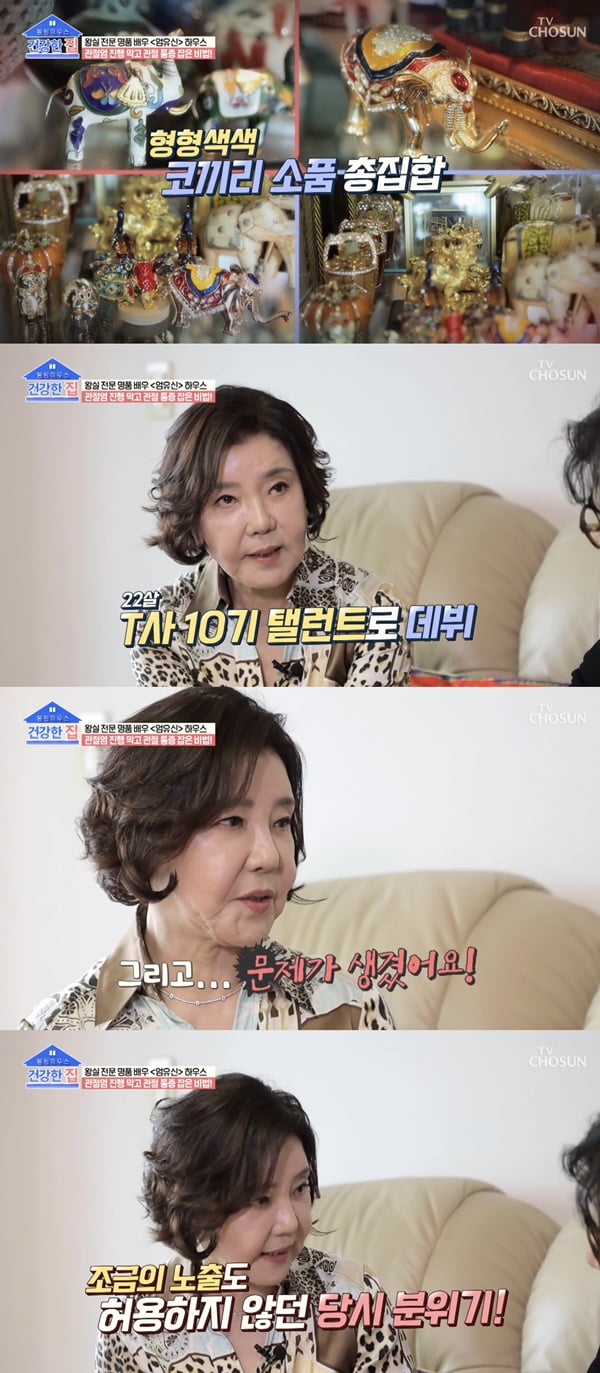 /사진=TV조선 '건강한 집' 방송 화면 캡처
