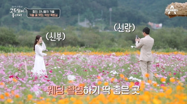 [종합] 고두심 "난 만난 지 6개월 만에 결혼"…예비부부 위한 '꽃밭 주례사'('고두심이 좋아서')