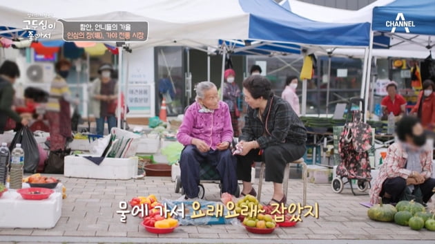 [종합] 고두심 "난 만난 지 6개월 만에 결혼"…예비부부 위한 '꽃밭 주례사'('고두심이 좋아서')
