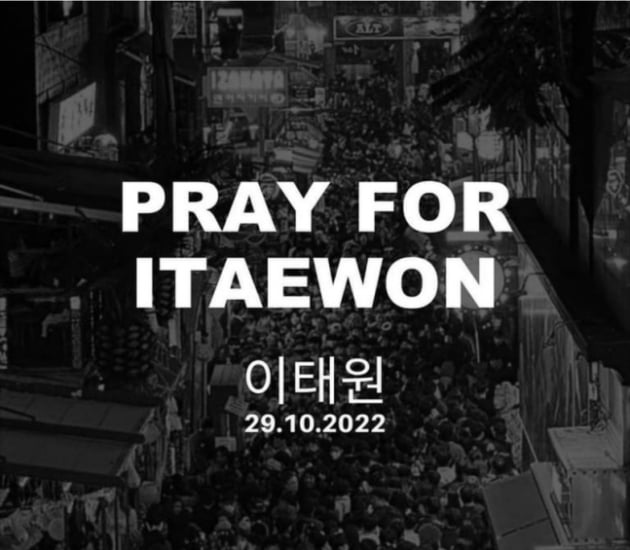 "자랑질하는 사진 올리지마"…강요는 그만, 알아서 애도할게요[TEN스타필드]