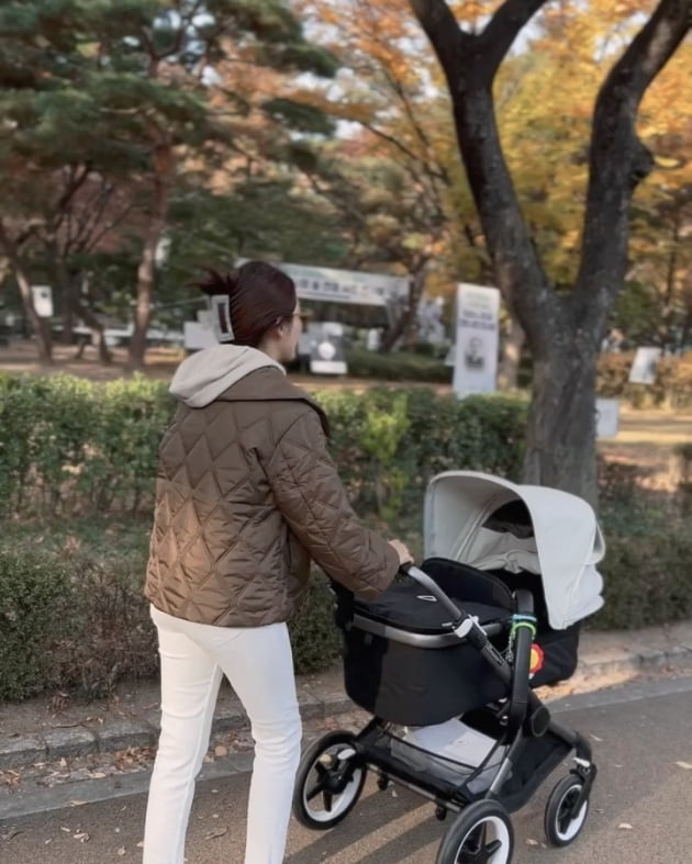 전혜빈, 가을 즐기는 애엄마…♥치과의사 남편은 가리고 아들은 빼꼼 공개