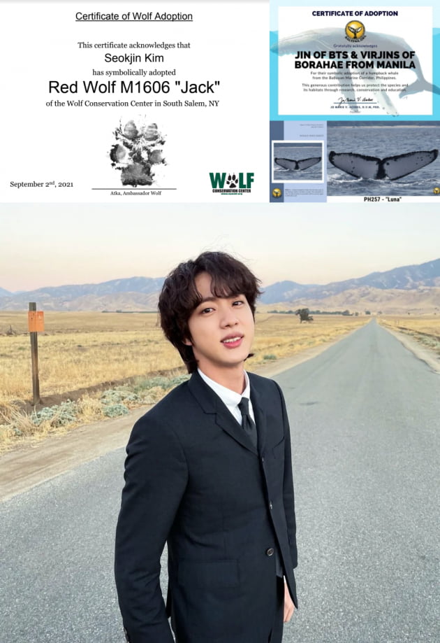 방탄소년단 진 팬들, 환경 문제에 대한 선한 영향력..한강 공원 '석진숲(JinForest) 조성'