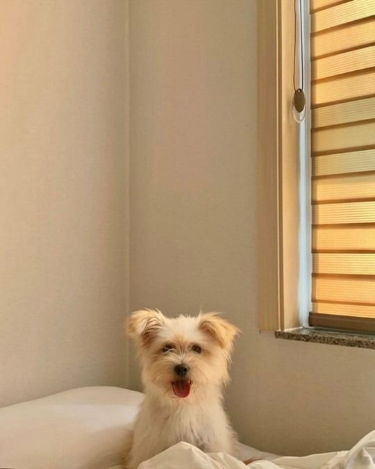 사진=민영 인스타그램