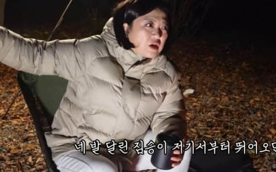 김숙, "멧돼지지?" 캠핑 중 만난 산짐승에 혼비백산…삽 들고 무장