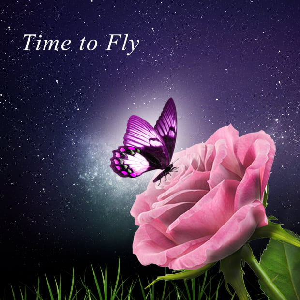 케이팝 뮤지션 박서연 9번째 싱글 “Time To Fly” 발매