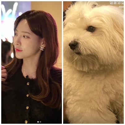 '환승연애2' 이나연 반려견, 고창석 닮은꼴의 푸근함…김지수도 반했다