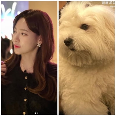 '환승연애2' 이나연 반려견, 고창석 닮은꼴의 푸근함…김지수도 반했다