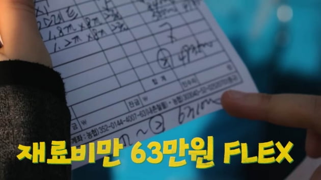 한혜진, 닭 3마리 위한 닭장에 63만원 플렉스 "우습 게 봤다"