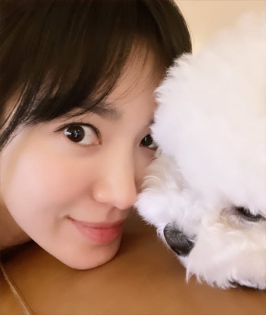 송혜교 / 사진=송혜교 인스타그램