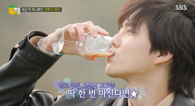 /사진 = SBS '딱 한번 간다면' 방송화면