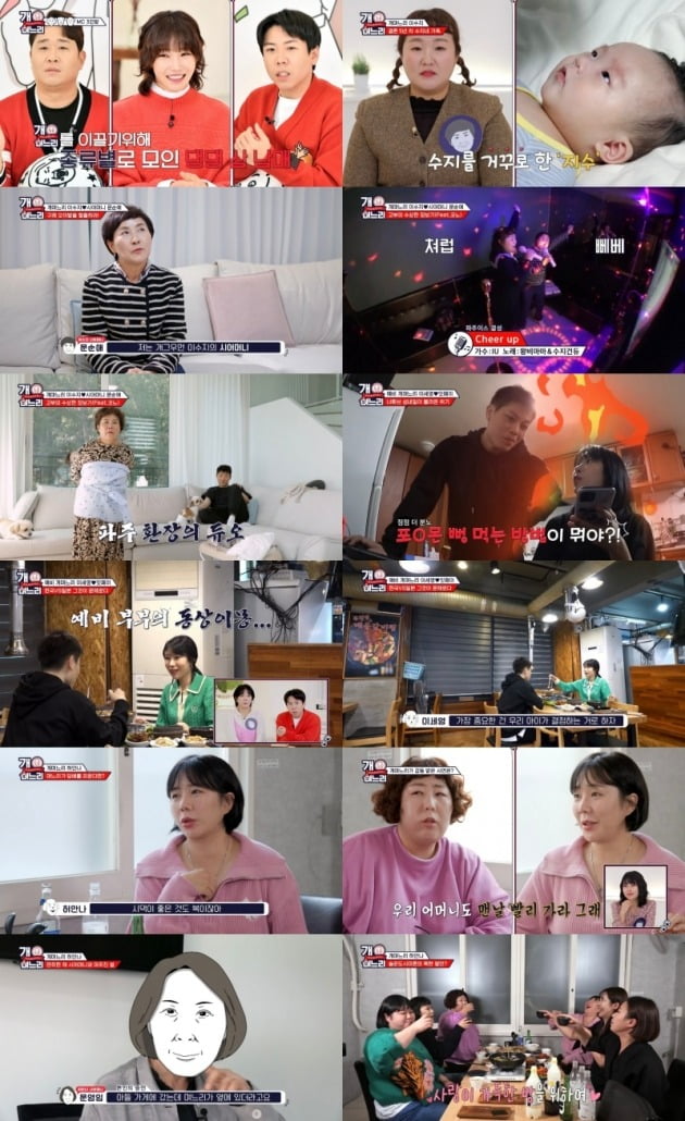 사진=티캐스트 E채널 '개며느리' 방송 캡처