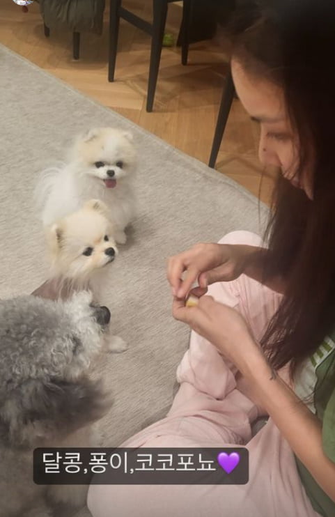 '장동건♥' 고소영, 바쁘다 바뻐...이쁜건 알아가지구