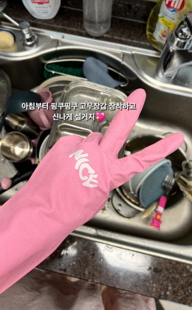 '임창정♥' 서하얀, 시드니 그리워한 오둥이맘…현실은 아침부터 설거지