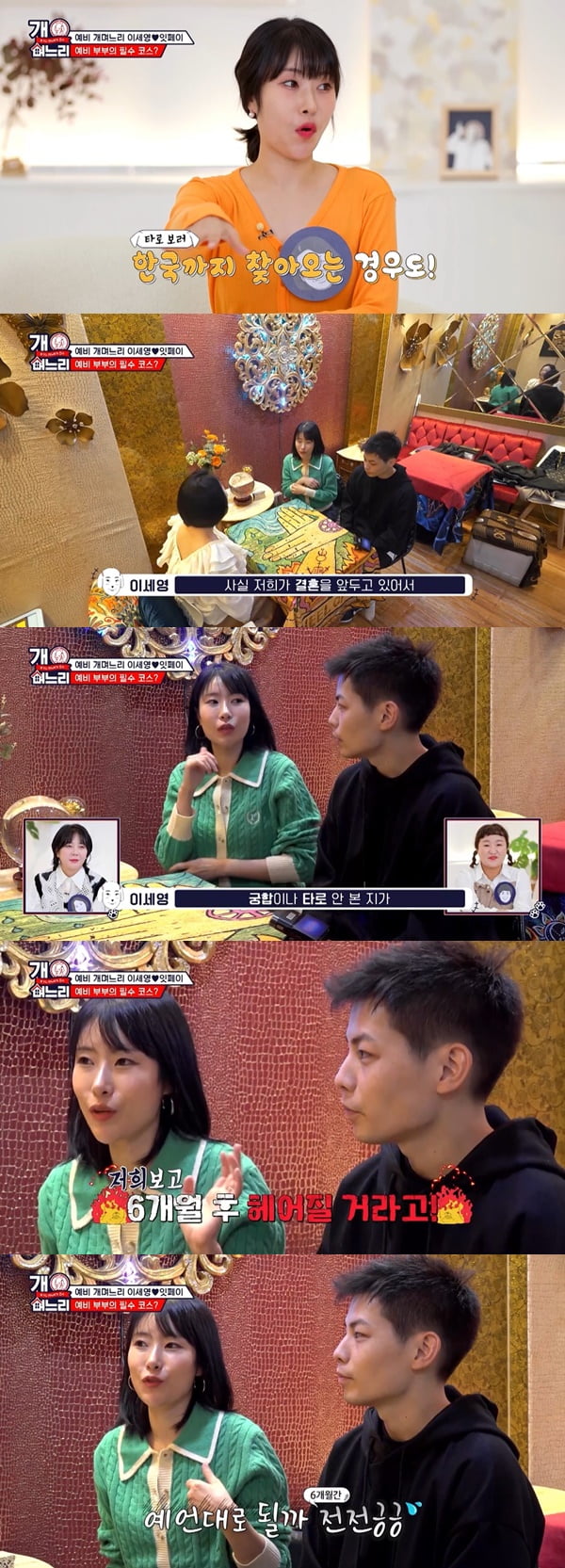 /사진=E채널 '개며느리' 방송 화면 캡처
