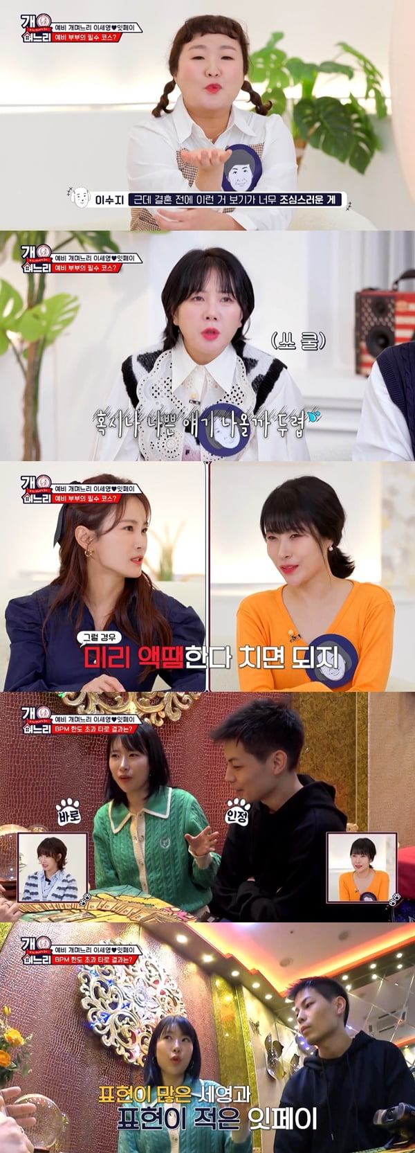 /사진=E채널 '개며느리' 방송 화면 캡처