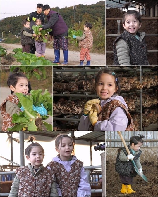 찐건나파블리, 소똥 치우기부터 직접 채소 수확까지 자급자족 농촌 체험 ('슈돌')