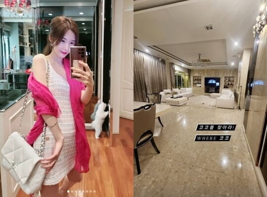 '태국재벌♥' 신주아, 거실이 얼마나 넓으면…꼭꼭 숨은 반려견 못 찾아