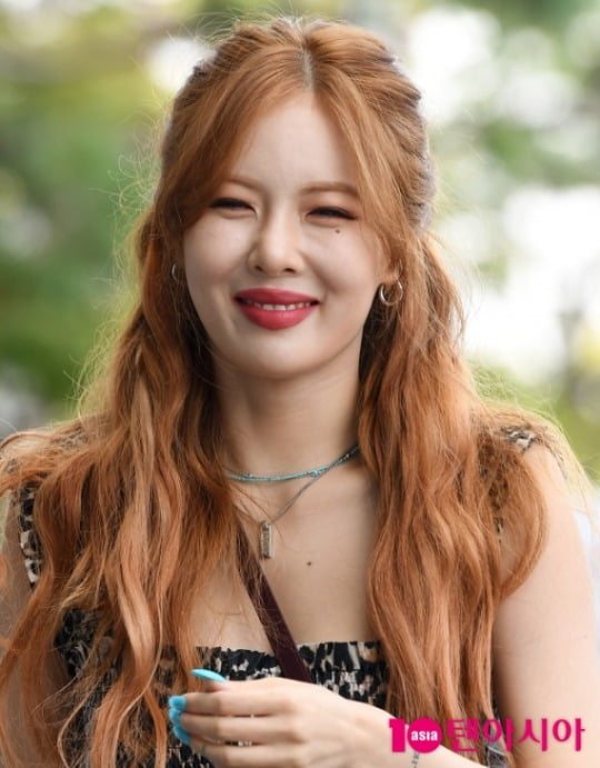 텐아시아DB