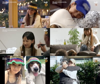 이효리, 떨어져 지냈던 '가족' 찾아 나섰다 "날 기억할까"('캐나다체크인')
