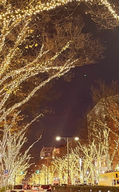 '장동건♥' 고소영, 명품 C사로 도배했네…비즈니스석 타고 日 여행