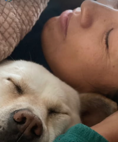 곤히 잠든 이효리, 가감없이 드러난 눈가 주름