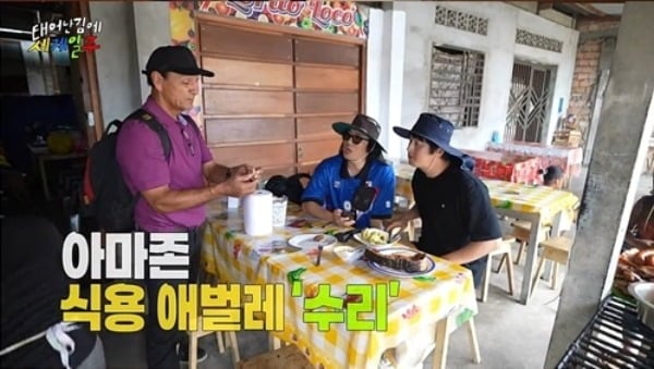 [종합] 옷 한 벌 들고 남미간 기안84, 애벌레 씹고 악어 뜯고 "살이 통통하네" ('태계일주')