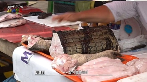 [종합] 옷 한 벌 들고 남미간 기안84, 애벌레 씹고 악어 뜯고 "살이 통통하네" ('태계일주')