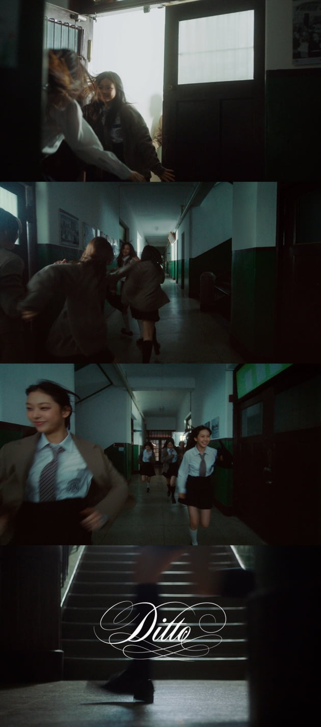 버니즈와 뛰어가는 '순수한' 뉴진스, 'Ditto' MV 티저 공개