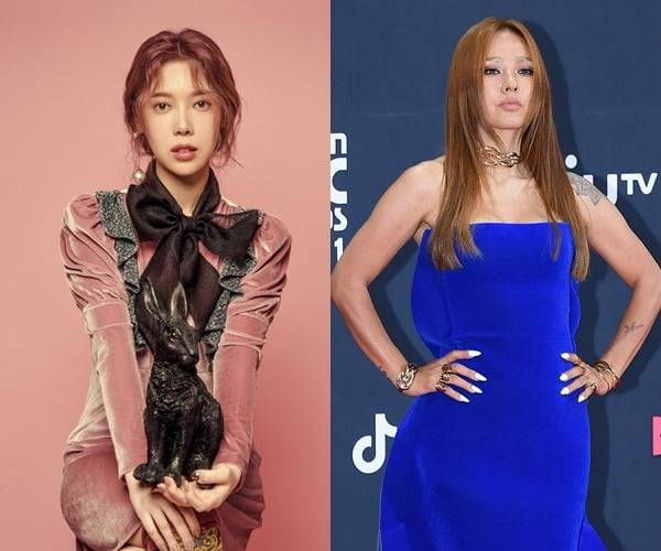 배다해, 이효리./사진=텐아시아DB