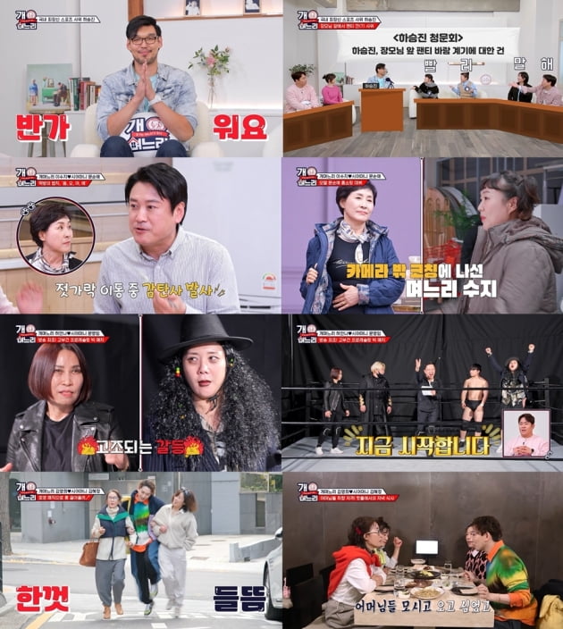 221cm 하승진 "집에 장모님 계셔도 잘 때는 팬티 바람"('개며느리')