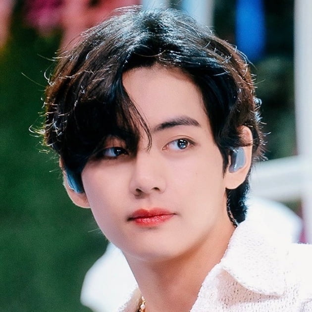 BTS 뷔 中팬덤 동물입양, 핑크리본 캠페인 지원